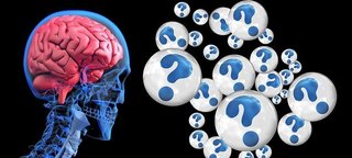 brain-2546101__340.jpg