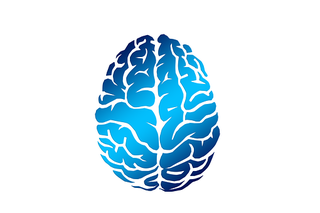 brain-2836401__340.png